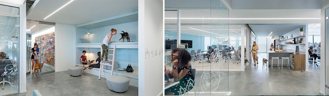 ×ðÁú¿Ê± - ÈËÉú¾ÍÊDz«!